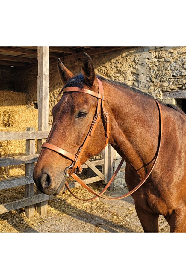 Genuine Leather Horse Bridle + Bridle Set - Handmade, Adjustable