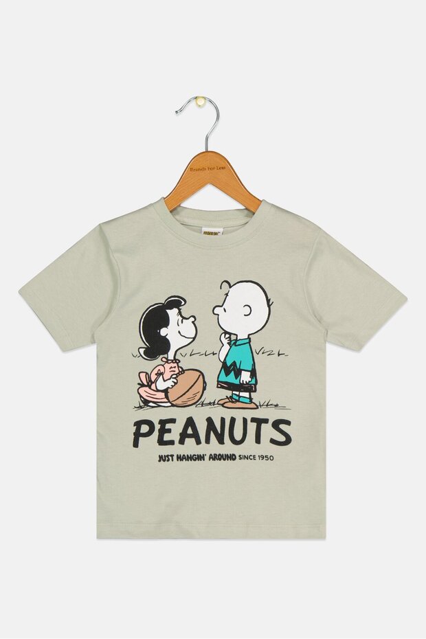 Toddlers Boy Short Sleeve Graphic Print T-shirt, Sage