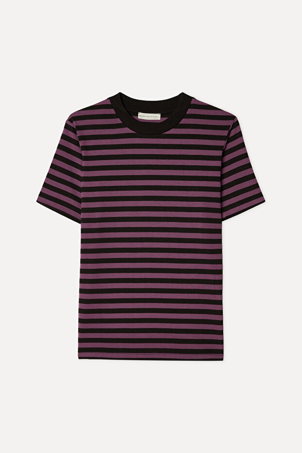 Women's Brown Striped Crew Neck T-Shirt