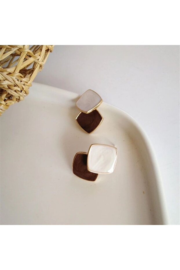 Women's Brown Rhinestone Steel Earrings
