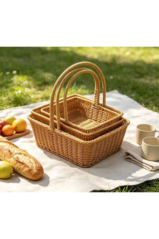 Set of 3 - Handwoven Rectangular Storage Basket with Sturdy High Handle