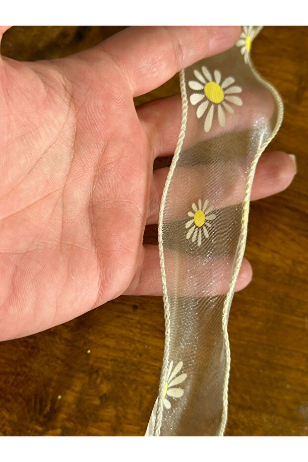 Ecru Daisy Patterned Tulle Strip Sewing Clothing Accessory - 5 cm (1 Meter)