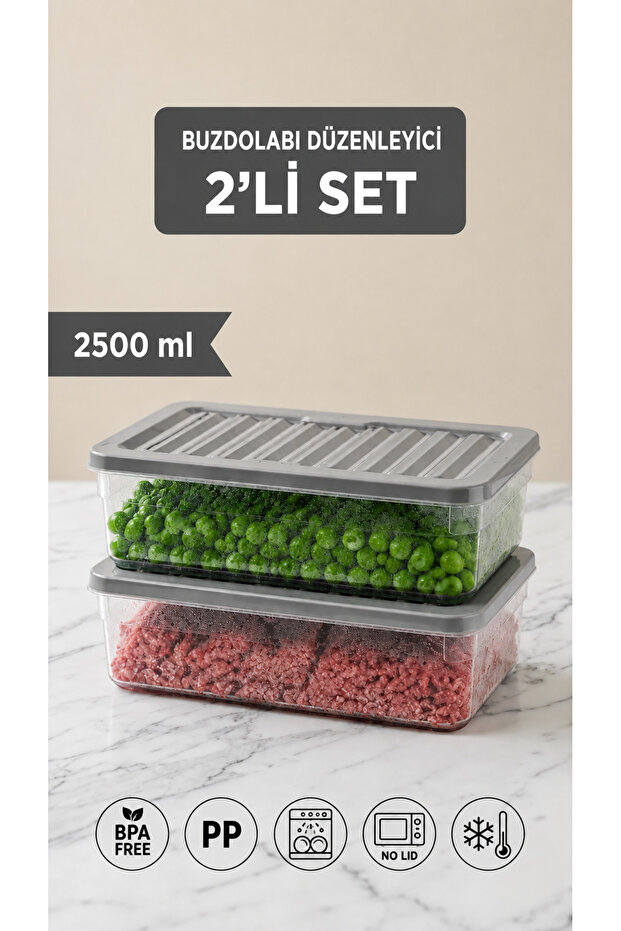 2500 ml Deep Refrigerator - Set of 2 Organizer, Freezer and Microwave Storage Container 2X2500