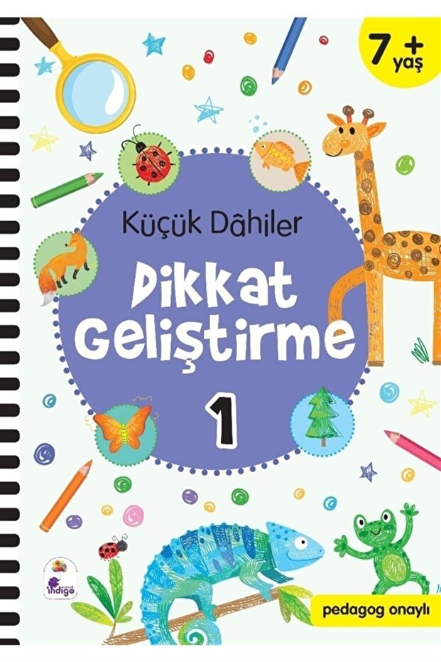 Indigo Little Geniuses Developing Attention 1 – 7+ Years Old