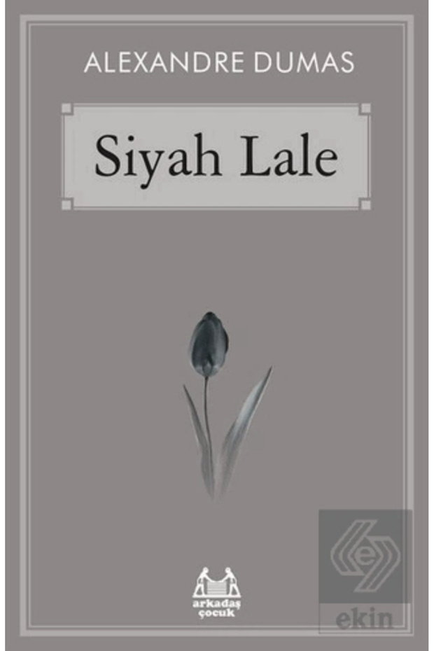 Siyah Lale