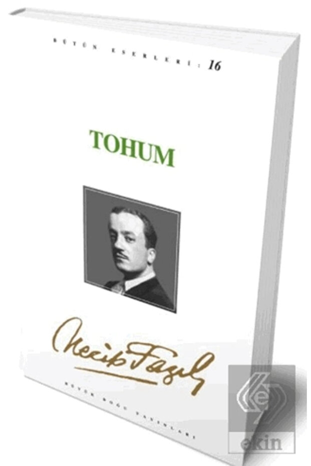 Tohum