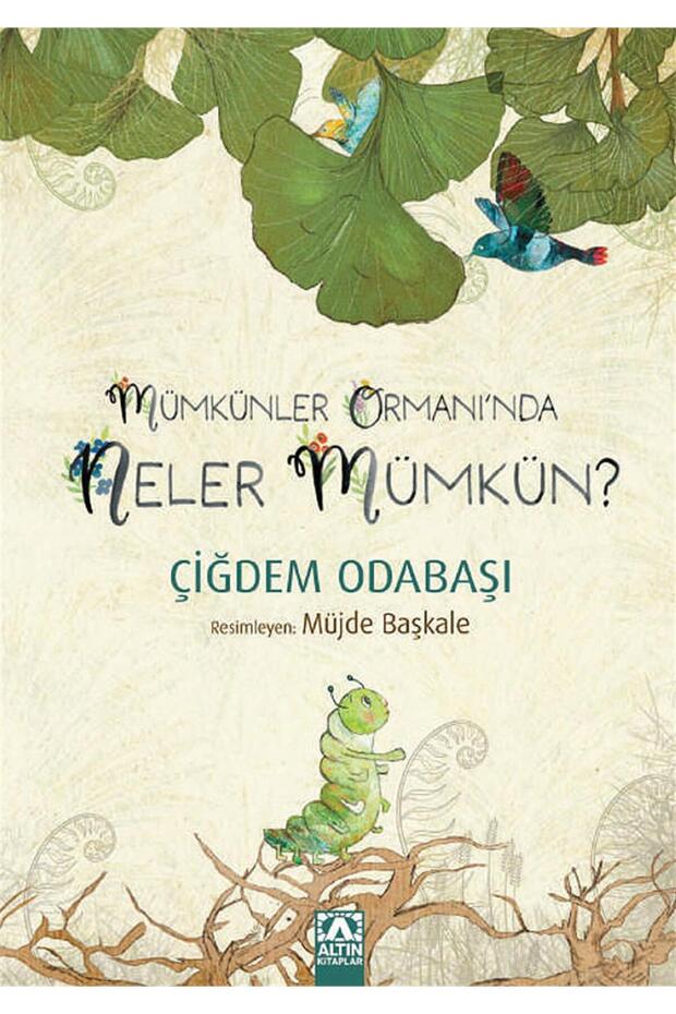 What's Possible in the Forest of Possibilities