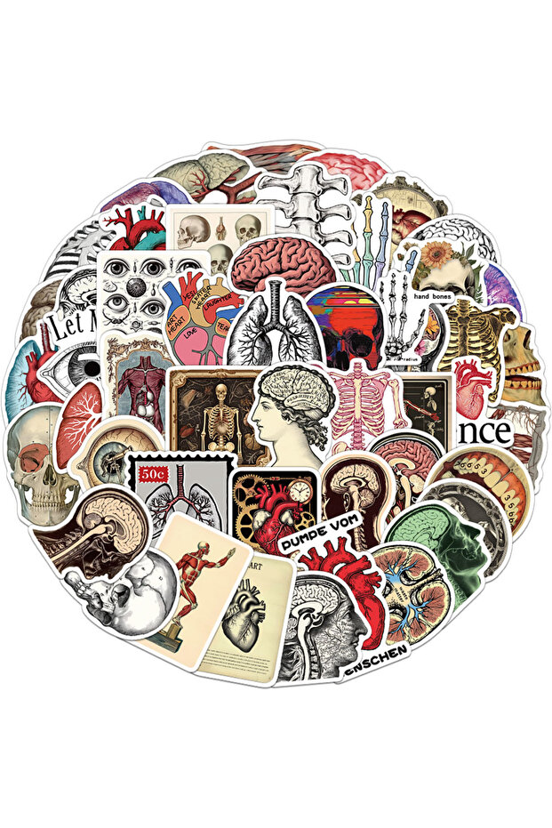 50PCS 50PCS Creative Retro Scientific Anatomy Retro Stickers Decorative Phone Cases Notebook Handboo