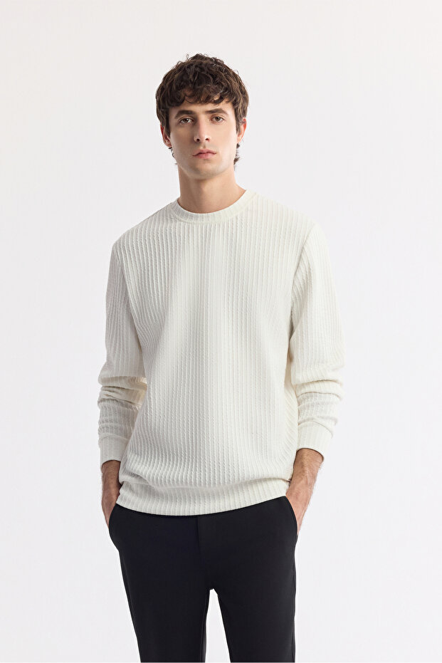 Men's Ecru Crew Neck Jacquard Elastane Regular Fit Sweatshirt A51Y1230