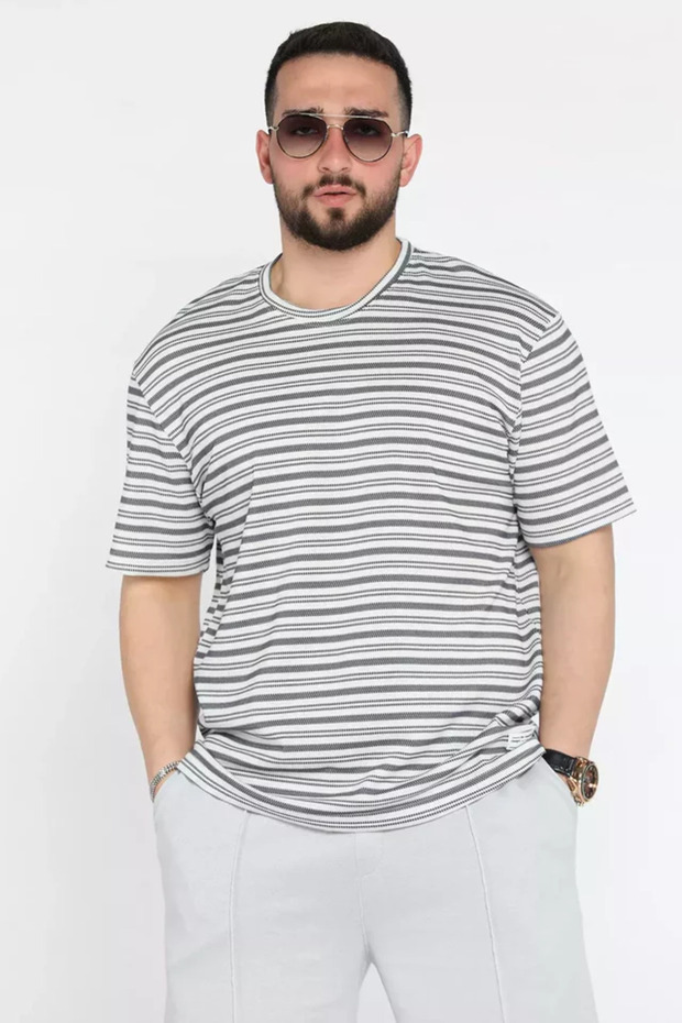 Crew Neck Striped Patterned Men's T-Shirt