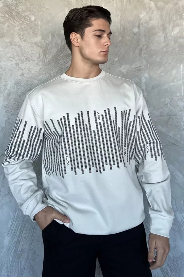 Crew neck printed men's sweatshirt