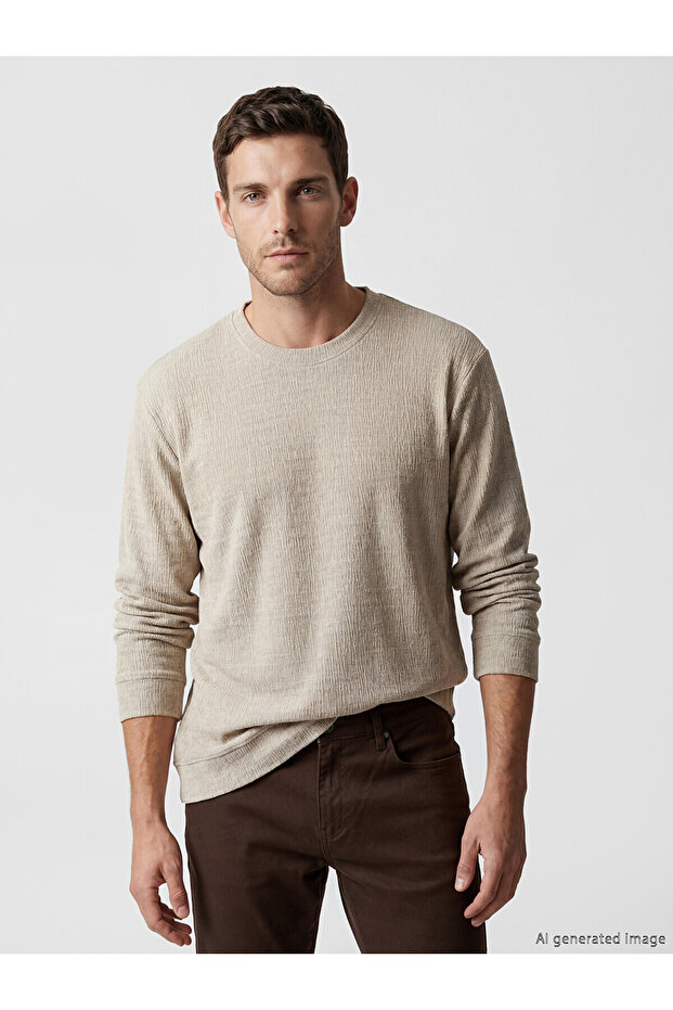 Lcwaikiki Classic Beige Crew Neck Textured Men's Sweatshirt