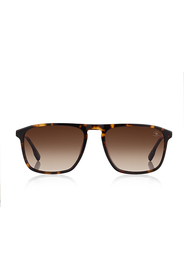 Sbs.1.1216.Col02 Men's Sunglasses