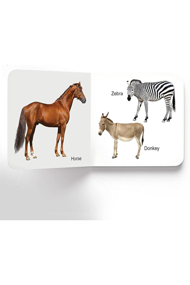 LOVELY BOARD BOOK PACK (SET OF 10 BOOKS)