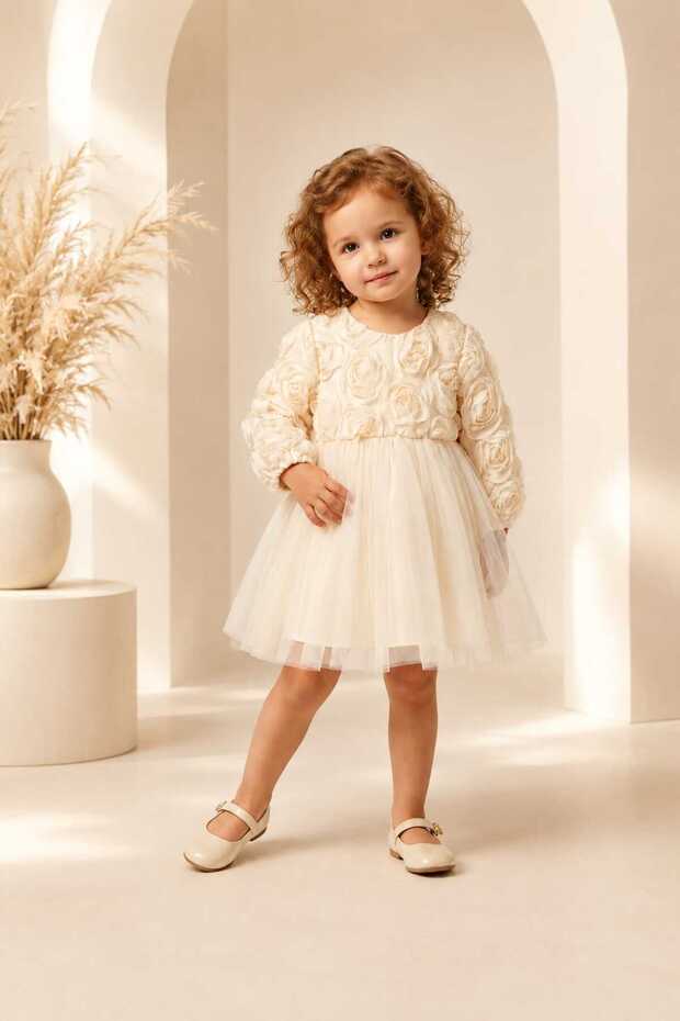 Rose Princess Long Sleeve Girls' Dress | 3D Rose Appliqued Layered Tulle Evening Dress | Special Occasion Dress 2-5 Years