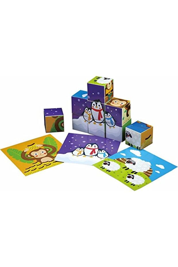 -6 Senses Puzzle - Multicolor