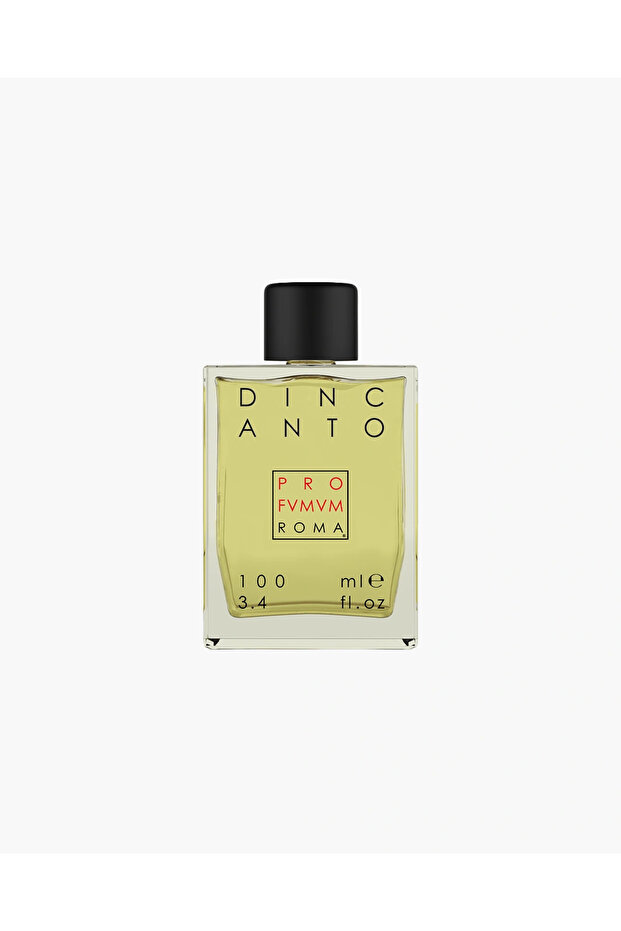 Dincanto Eau de Parfum Unisex 100ml