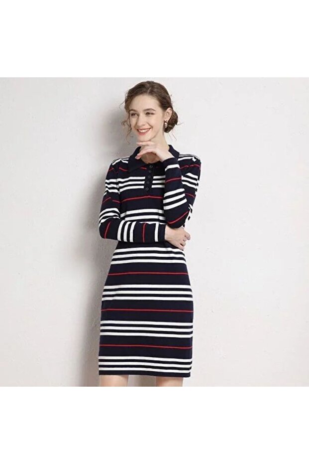 Women's Dark Blue Striped Long sleeve Dress