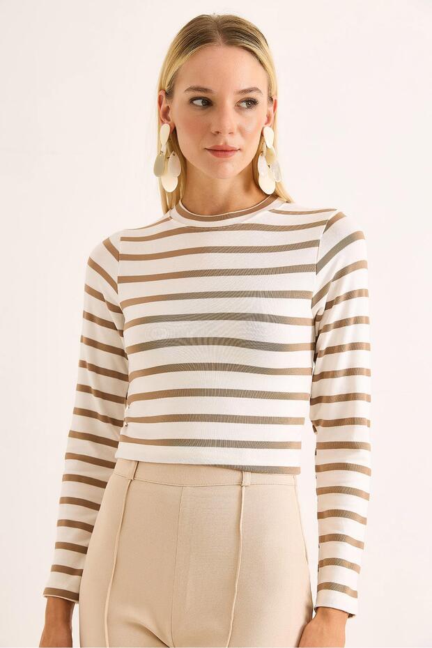 Women's Stripe Patterned Crop Blouse Beige