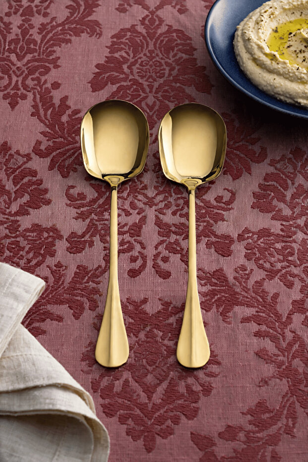 Set of 2 Stainless Steel Serving Spoons Presentation Spoons 2 Pieces 20cm