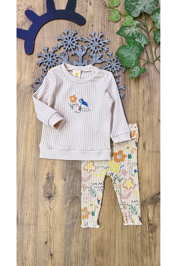 Baby girl seasonal long sleeve spring/winter outfit set