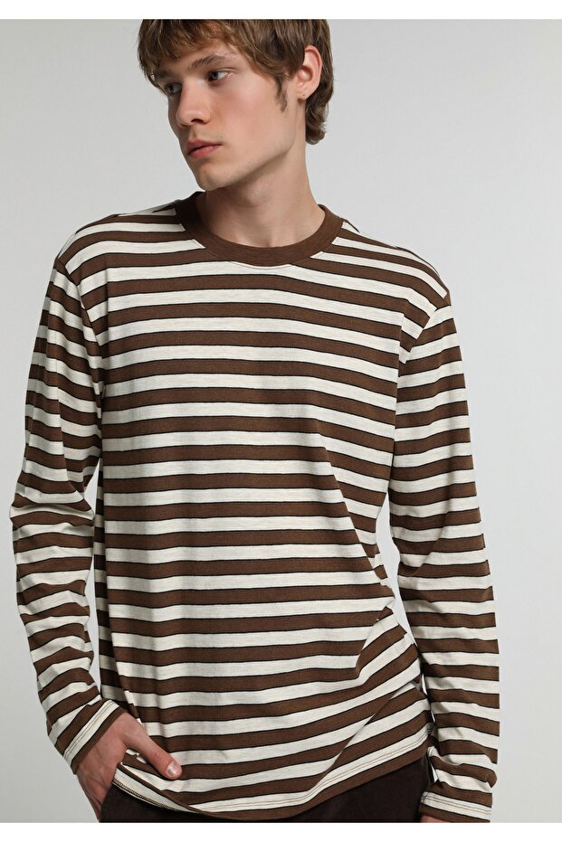 Regular Fit Round Neck Striped Men's Brown Long Sleeve T-Shirt