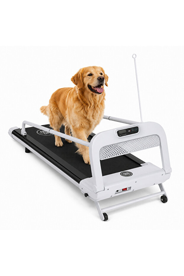 Quiet & Movable Indoor Large Dog Treadmill With Monitor, Tracker & Remote Control 130x53x45cm - White