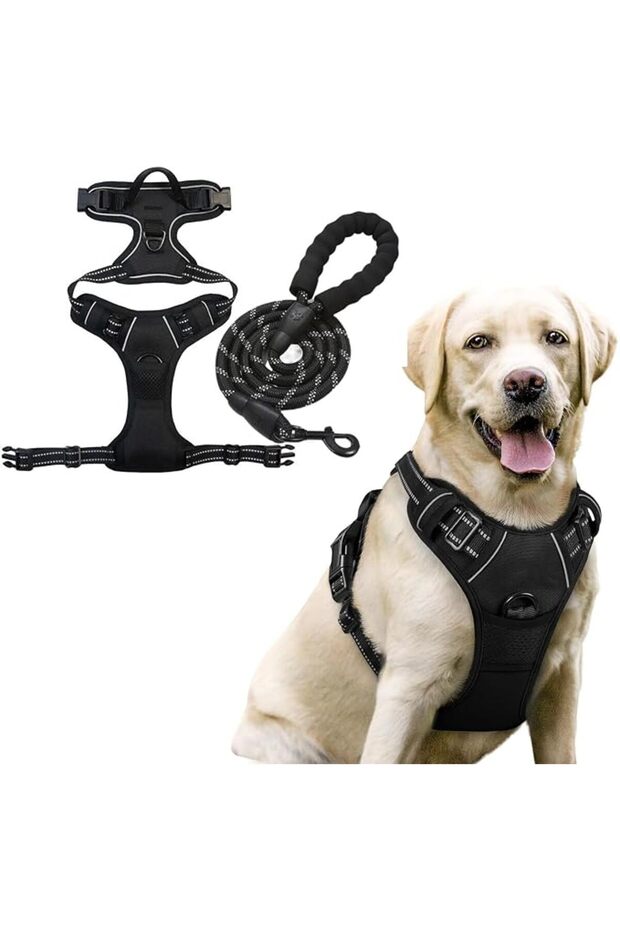 Dog Harness and Leash Set, Breathable and Selective Soft-Shell Padded Vest for Pets, Comfortable and Adjustable.
