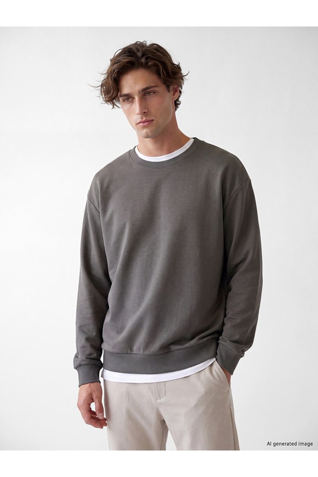Lcw vision brown crew neck men's sweatshirt