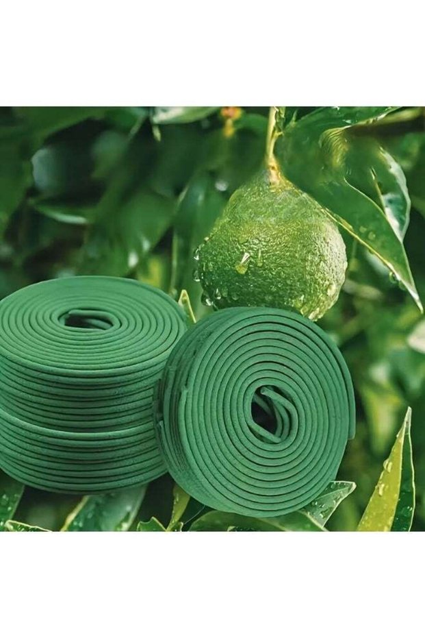 Natural Incense Coils – Variety Pack (Lemongrass, 41 Pcs)