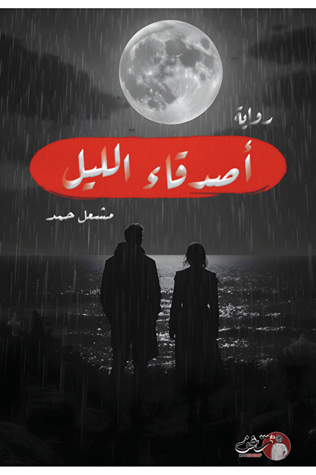 Night friends - novel