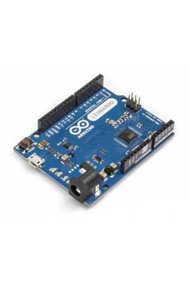 Orijinal Leonardo - 2