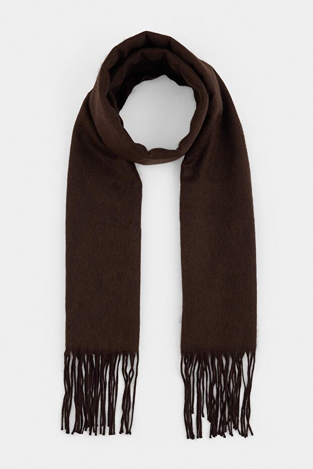 Brown Soft Textured Women's Tassel Scarf Takaw27At00002