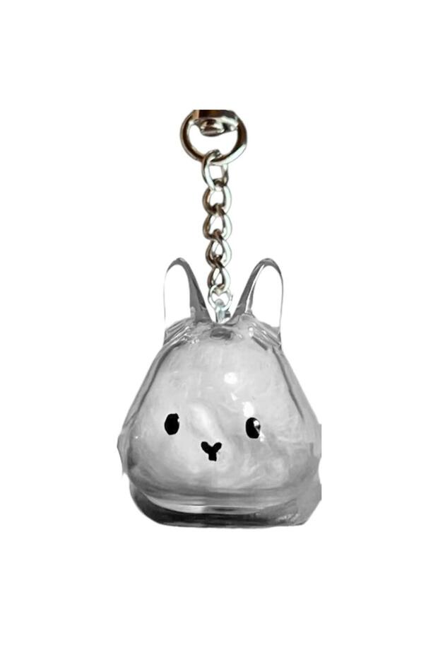 D Cute Rabbit Shape Transparent Rabbit Fur Storage Box Hair Storage Pendant Keychain Transparent Pet