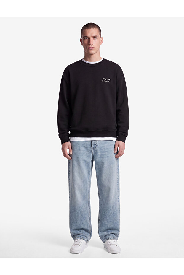 Cotton Shaded Crew Neck Long Sleeve Printed Sweatshirt