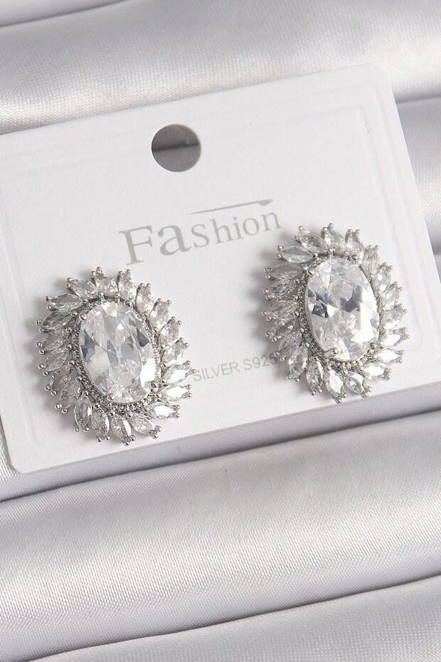 Brass Silver Color Zircon Stone Women's Earrings