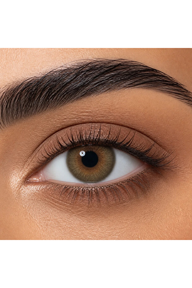 Clover Lenses — Honey Green