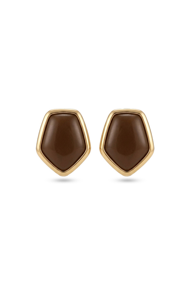 Steel Gold Detailed Coffee Asim Earrings