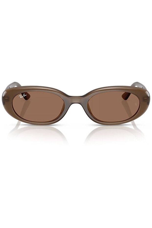 Rb4441D 677973 53 Women's Sunglasses