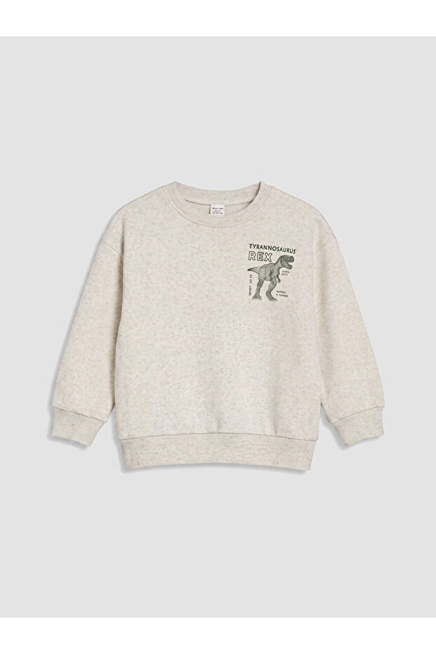 Printed boy's sweatshirt