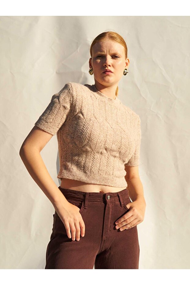 Women's Beige Crop Knit Sweater Crew Neck Short Sleeve Openwork Textured