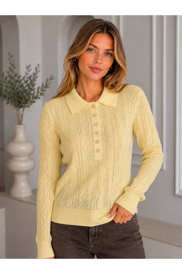 Polo Collar Buttoned Openwork Knit Patterned Long Sleeve Slim Knitwear Sweater Aw26Kz00045