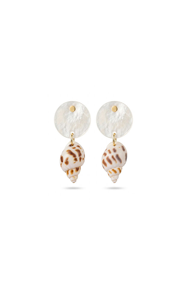 Steel Sea Shell Dangle Earrings