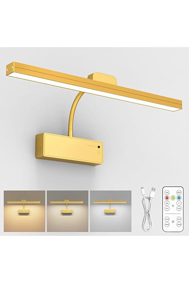 Wireless Picture Light with Remote Control, Battery Operated Painting Light with Dimmable & Timer,18