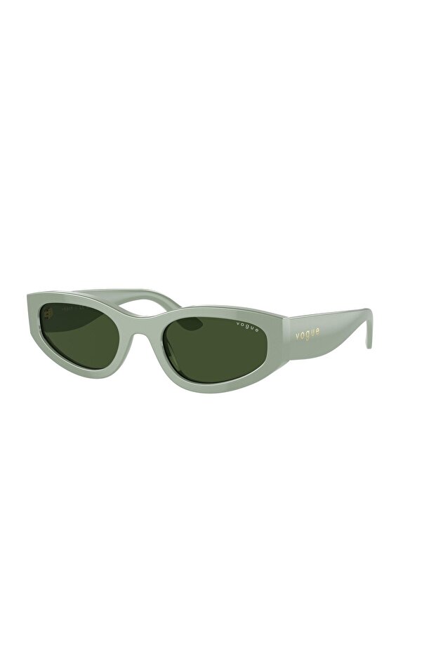 5585S 316171 54 Sunglasses