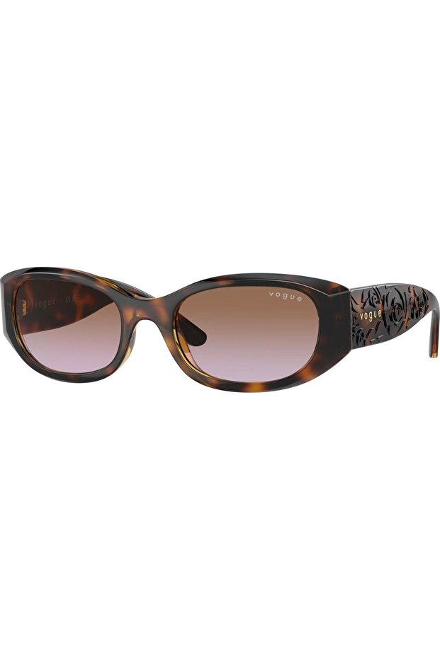 5525S W65 668 52 Sunglasses