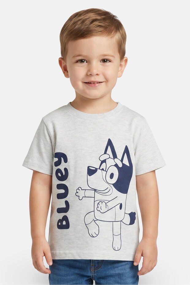 Toddlers Boy Graphic Print Short Sleeve T-Shirt, Grey