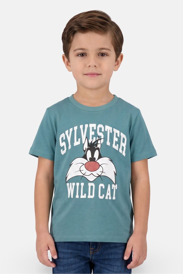 Kids Boy Graphic Print Short Sleeve T-Shirt, Sage Green