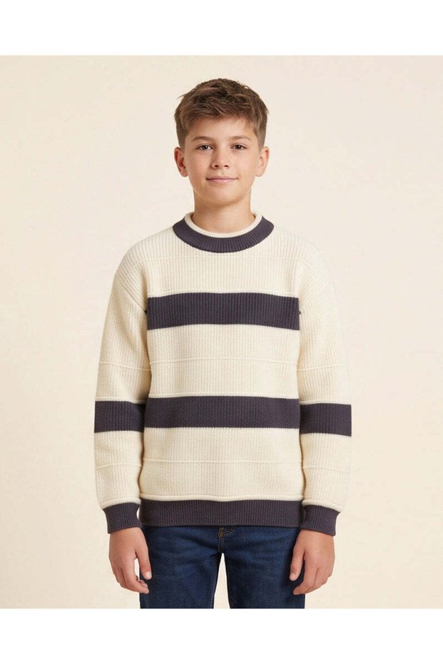 Senior Boys Beige And Brown Crew Neck Printed Sweater