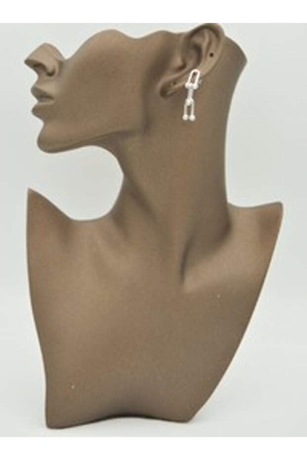 Chain earrings - silver color -